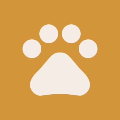 Pawpy